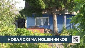 Росреестр предупредил дачников Нижнекамска о новом виде мошенничества