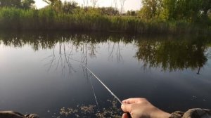 Мормышинг.Караси на поролон.