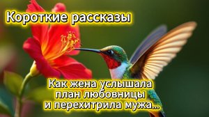 Короткие рассказы: как жена услышала план любовницы и перехитрила мужа | Домохозяйка
