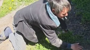 СИСЯ БЫЛ ЖЕСТОКО НАКАЗАН .МАНСУР НАЧАЛ СРЫВАТЬСЯ НА КАМЕРУ .