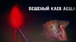 Вот это НОЧНАЯ РЫБАЛКА! БЕШЕНЫЙ КЛЕВ ЛЕЩА! ТОННЫ РЫБЫ.