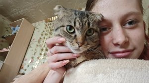 играем с котиком 🐱,Даша сделала самолётик 🛩️
