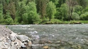 Очищение и Наполнение