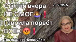 3 часть. С@пля вчера НЕ СМОГ🤷❗️Гаврила порвёт ВСЕХ😡❗️