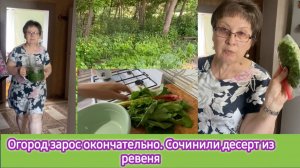 Огород зарос окончательно, сочинила вкусный десерт из ревеня. Съездили в Острогожск
