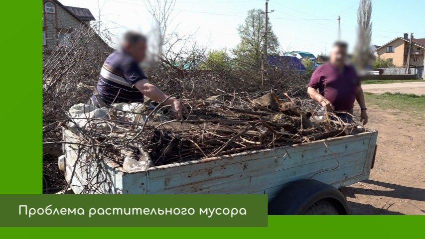 Проблема растительного мусора смотреть онлайн