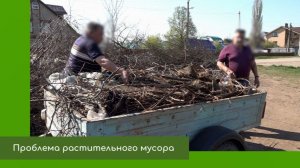 Проблема растительного мусора