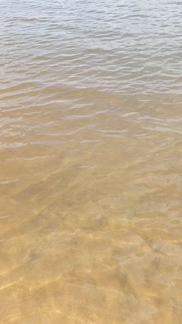 В воде смотреть онлайн