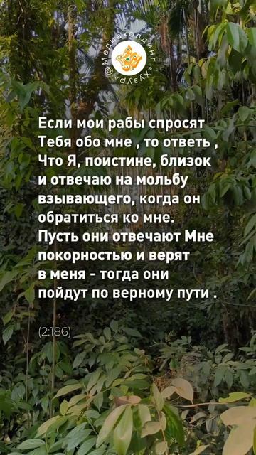 Аллах ближе к вам, чем вы думаете 🙏 смотреть онлайн