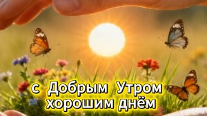 Доброе утро: красивые открытки и пожелания доброго утра | Домохозяйка