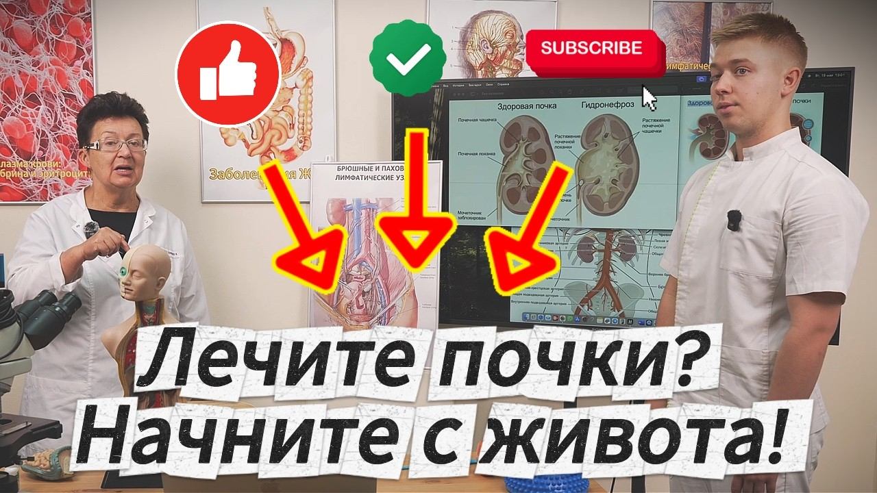 Диагностика нарушений почечного кровообращения