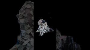мы обменялись телами и один из нас превратился в военного а я...