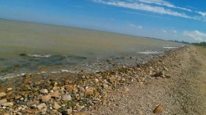 Загорают и некоторые купаются в Таганрогском заливе!