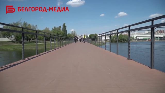 В Белгород за знаниями и опытом приехала делегация из Вологды смотреть онлайн