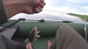 С ТАКИМ ТЕСТОМ ДРУГИХ НАСАДОК И НЕ НАДО!!ДЕЛЮСЬ РЕЦЕПТОМ!!КРУПНЫЙ КАРАСЬ НА ПОПЛАВОК!