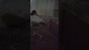 1000003789.mp4