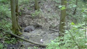 Краткий инструктаж по принятию грязевых ванн в +35°