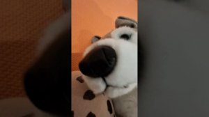 Что то примеряем чтото делаем