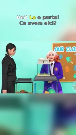 Борьба с школьной жизнью! С чем ты можешь себя больше всего ассоциировать? 🤓📚