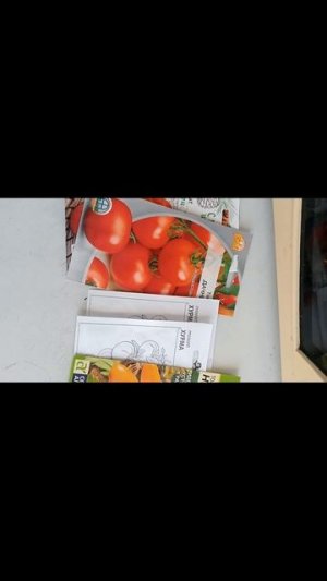 Готовимся к высадке 🍅