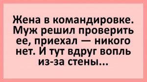 Жена в командировке, муж решил проверить ее... | Анекдоты смешные | Юмор