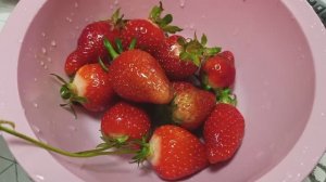 Перевели курочку 🐥🐔Собрали первую клубнику🍓🍓Сами почистили блок кондиционера