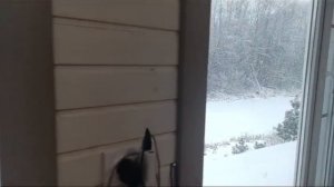 1000027337.mp4
