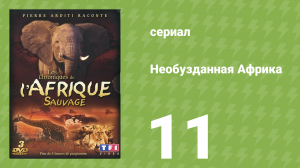 Необузданная Африка 11 серия (документальный сериал, 1995)