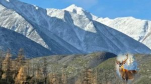 ПОЧЕМУ ТЫ ЗАМУЖЕМ,ПОЧЕМУ?