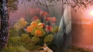 =Ты мне тюльпаны подари=.Сл. А. Зенцов, муз. Л. Сычугова, аранж. Е. Обухова, исп. Т. Цветкова.