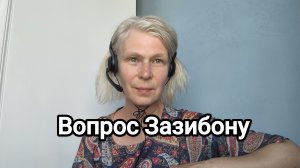 вопрос автору канала Зазибон. внешняя звуковая карта