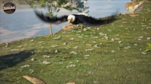 Сравнение скорости птиц в 3D. Самые быстрые птицы. Вымышленные вымершие птицы. Драконы.