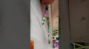 обзор на амнямов