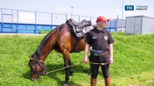 История спасения трёхлетней девочки в Дубенском районе