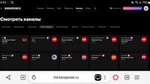 Кинопоиск/Телеканалы всех категорий