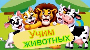 Учим животных/Учимся говорить/Развивающие мультики для детей/Играем с малышами 2ч