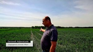 В Тверской области началась посевная кампания