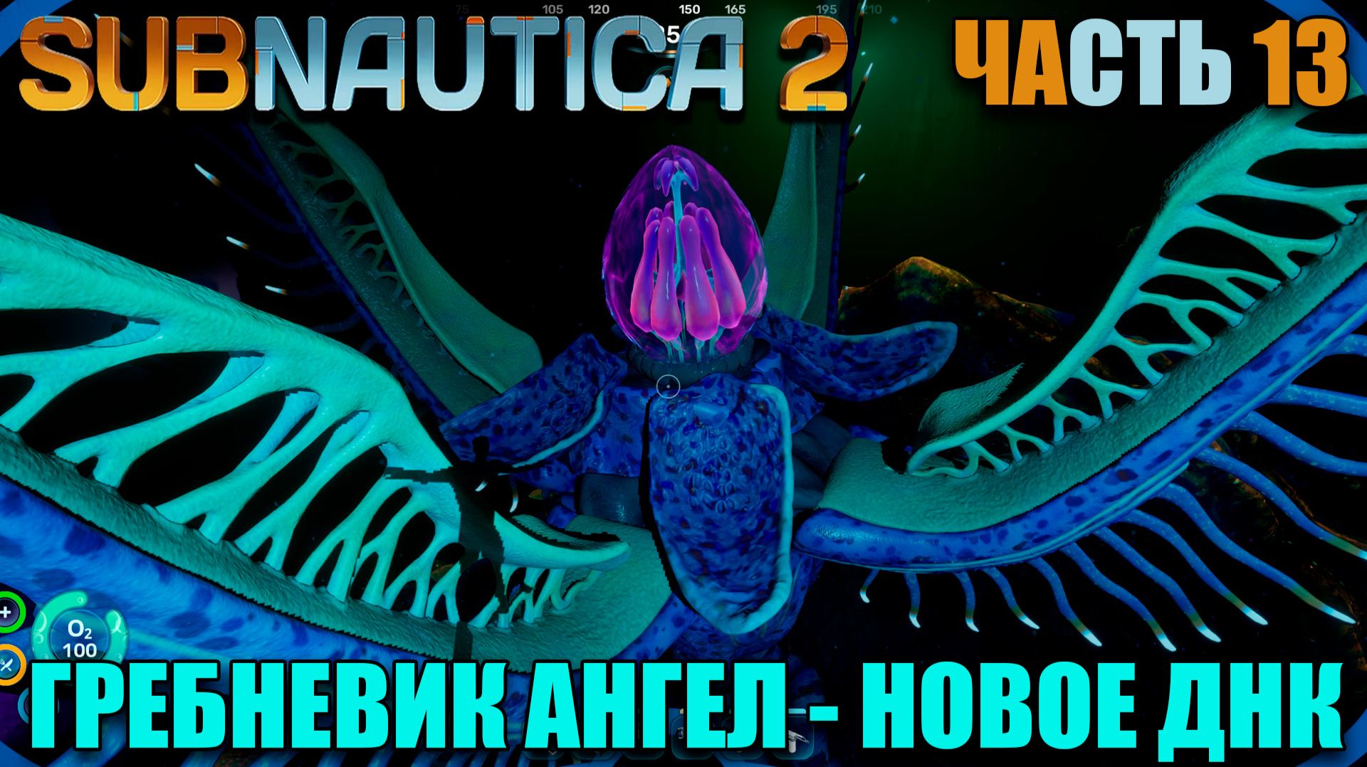 Subnautica 2 как получить аксумское зрение. Гребневинк ангел и новое днк - Часть 13 смотреть онлайн
