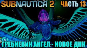 Subnautica 2 как получить аксумское зрение. Гребневинк ангел и новое днк - Часть 13