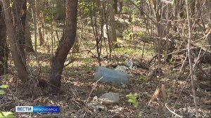 Вести. Красноярск от 21.05.26