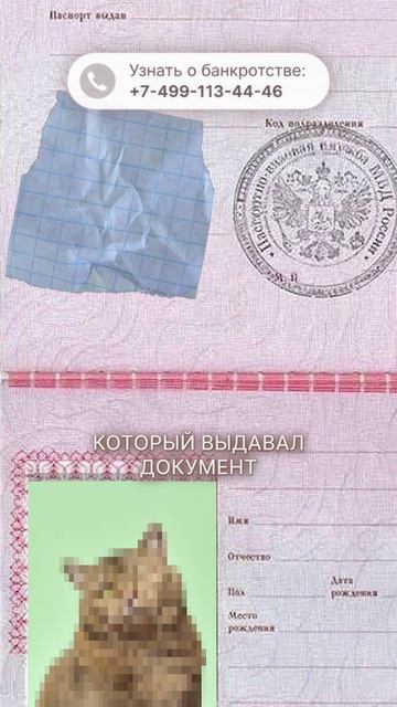 Не отдавайте копию паспорта, пока не сделаете ЭТО!