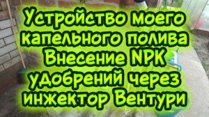 Устройство моего капельного полива. Внесение NPK удобрений через инжектор Вентури