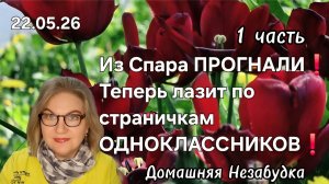 1 часть. Из Спара ПРОГНАЛИ❗️Теперь лазит по страничкам ОДНОКЛАССНИКОВ❗️