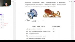 Тип Моллюски ОГЭ