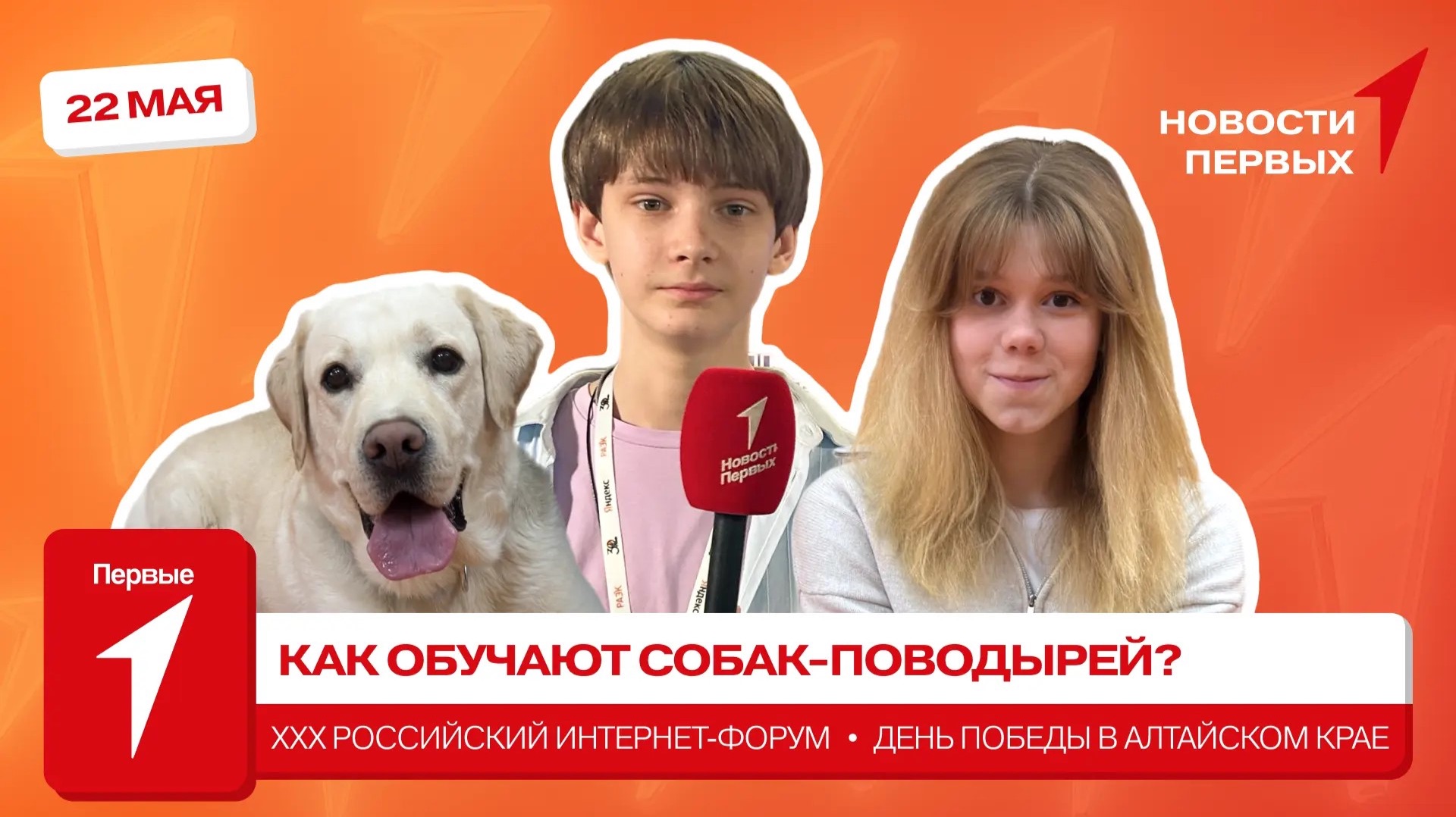 «Новости Первых»: XXX Российский интернет-форум | Обучение собак-поводырей | День Победы