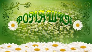 Ромашки  для моей Наташки - бесплатный проект для ПроШоу Продюсер