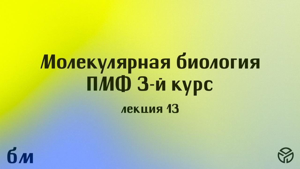 Молекулярная биология ПМФ лекция 13 Пупов Д.В. 13.05