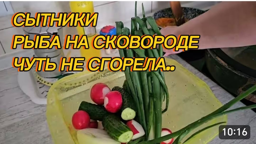 САМВЕЛ АДАМЯН, СЫТНИКИ, РЫБА НА СКОВОРОДЕ ЧУТЬ НЕ СГОРЕЛА.. смотреть онлайн
