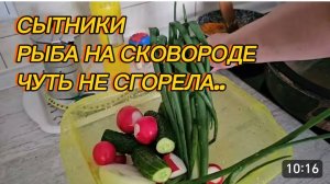 САМВЕЛ АДАМЯН, СЫТНИКИ, РЫБА НА СКОВОРОДЕ ЧУТЬ НЕ СГОРЕЛА..