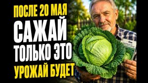 Не сажай всё подряд! 8 культур после 20 мая